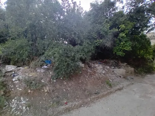 Vente Terrain Alger El harrach