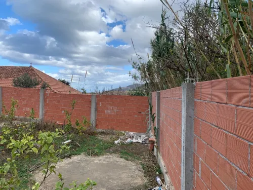 Vente Terrain Tipaza Gouraya