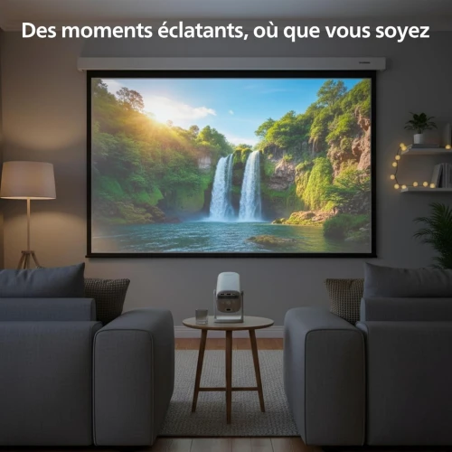 PHILIPS DATA SHOW NEOPIX 244 65" LED FULL HD