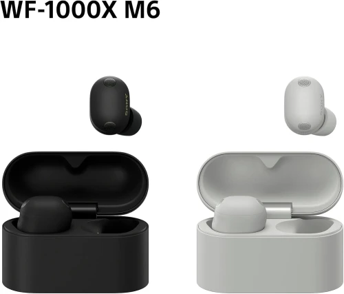SONY ECOUTEURS WF-1000XM6