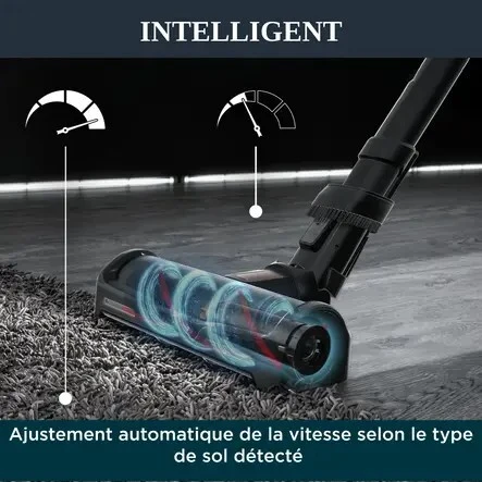 ROWENTA ASPIRATEUR BALAIS SAN FIL X-FORCE FLEX 15.60 ANIMAL KIT RH99F1WO