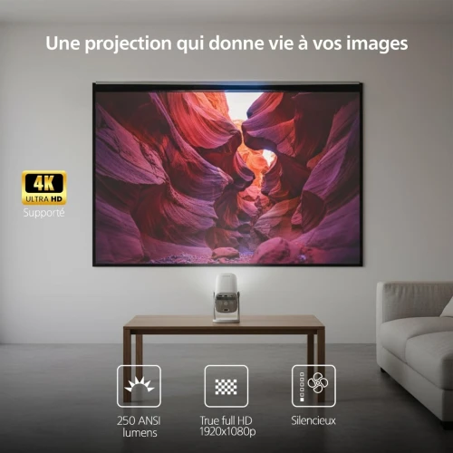 PHILIPS DATA SHOW NEOPIX 244 65" LED FULL HD