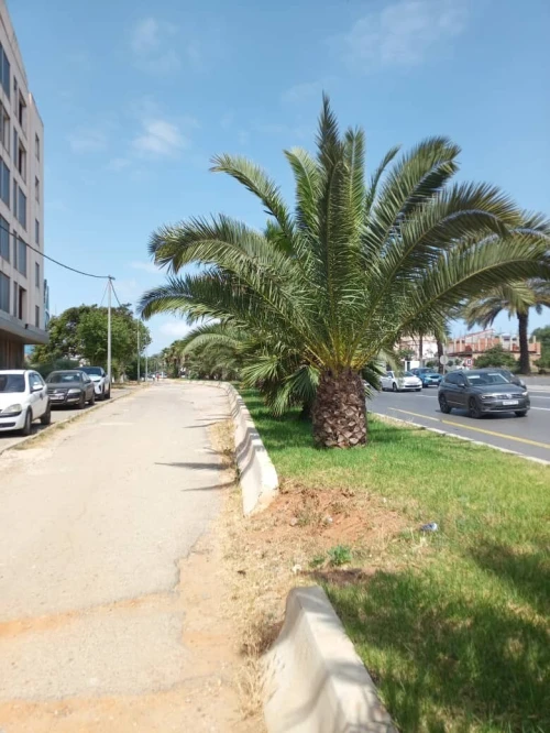 Location Local Alger Ouled fayet