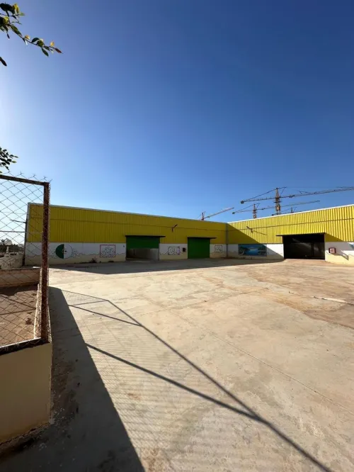 Location Hangar - Usine Aïn Defla Ain soltane