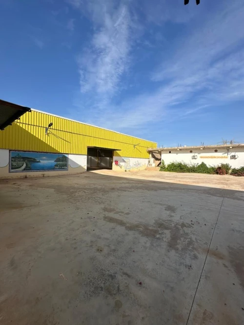 Location Hangar - Usine Aïn Defla Ain soltane