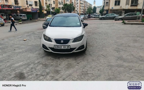 Seat Ibiza 2011 Loca