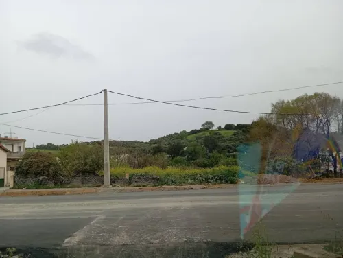 Location Terrain Alger Saoula