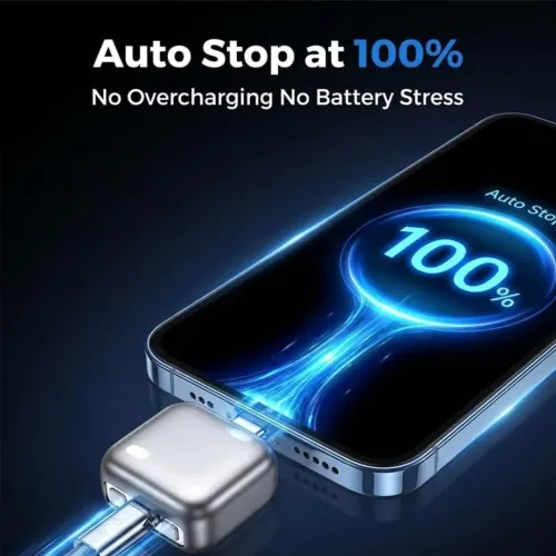 Module de Protection pour Chargeur  Coupure Automatique Anti-Surcharge