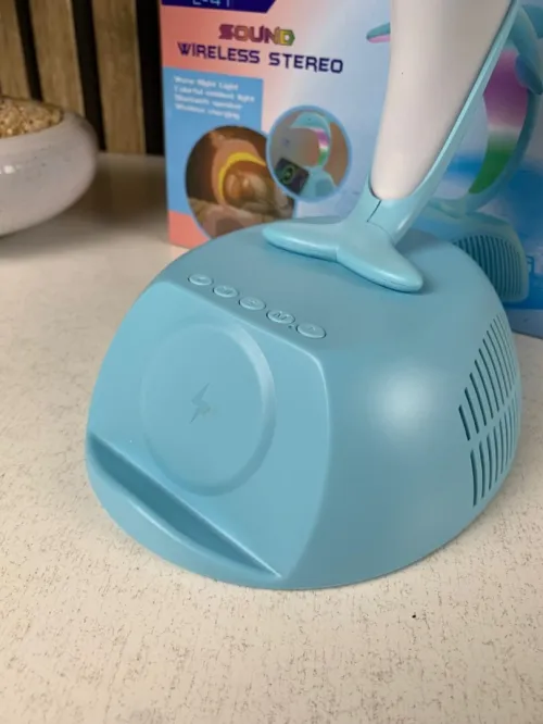 Enceinte Bluetooth Dauphin avec Lumière LED RGB et Chargeur Induction 15W