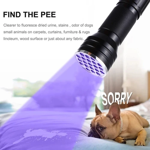 Lampe UV 21 LED - Outil dInspection Portable -détecteur des scorpions et faux billet