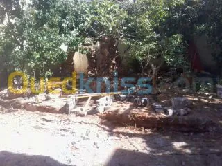 amenegemment  d' espasse vrt et casac