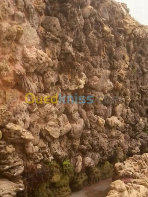 amenegemment  d' espasse vrt et casac