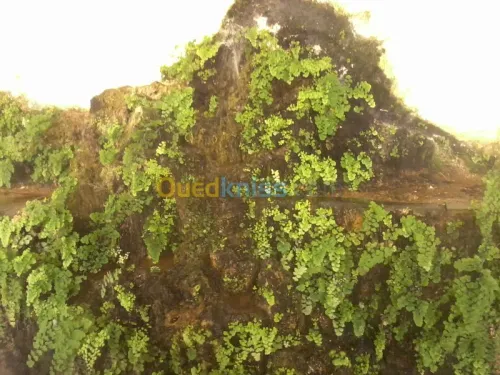 amenegemment  d' espasse vrt et casac