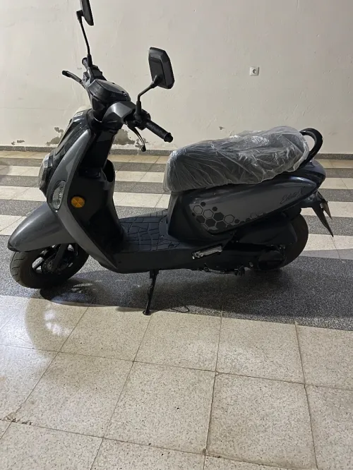 Vms Estate x 2025