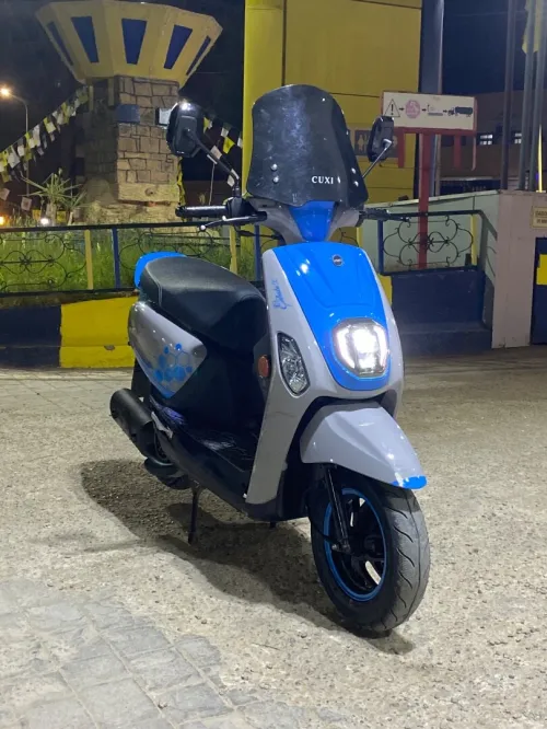 Vms Estat x 2024