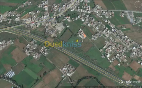 Vente Terrain Boumerdes Khemis el khechna