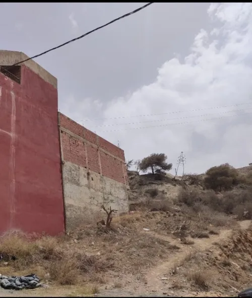 Vente Terrain Tlemcen Marsa ben mhidi