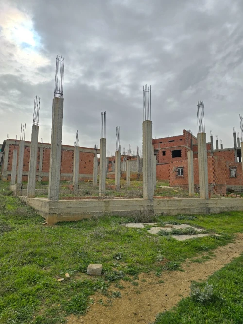 Vente Terrain Blida Ain romana