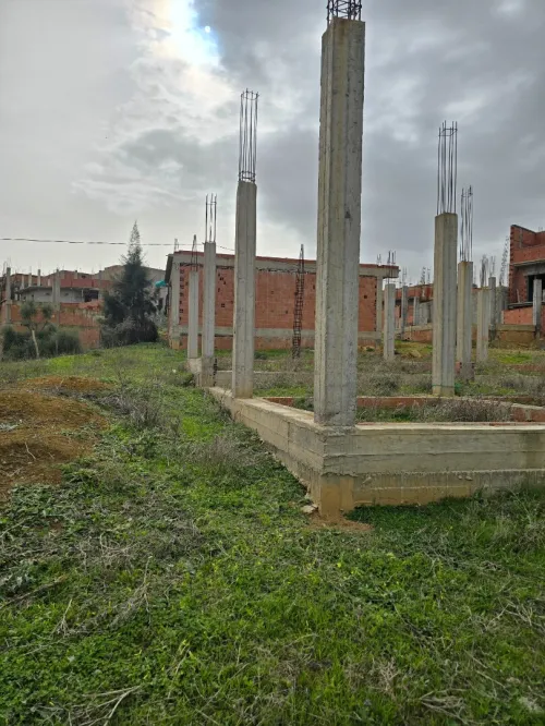 Vente Terrain Blida Ain romana