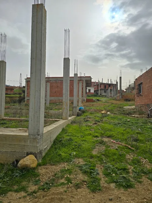 Vente Terrain Blida Ain romana