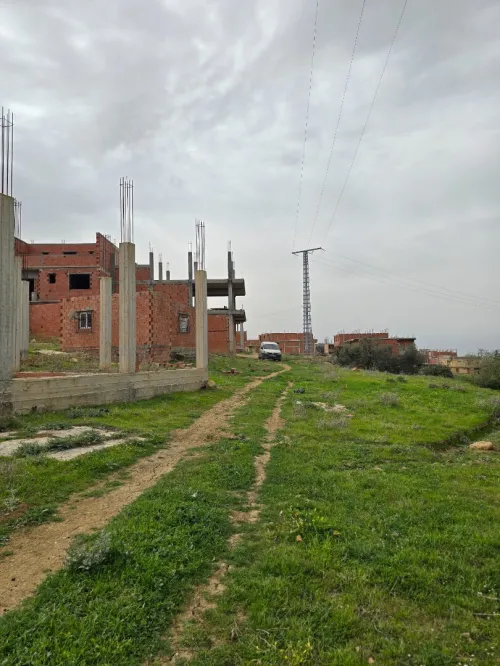 Vente Terrain Blida Ain romana