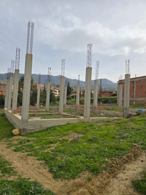 Vente Terrain Blida Ain romana
