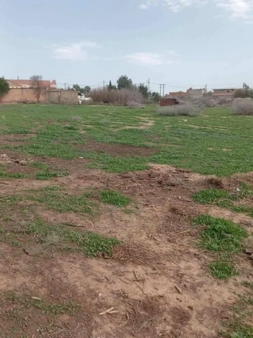 Vente Terrain Chlef Ouled fares