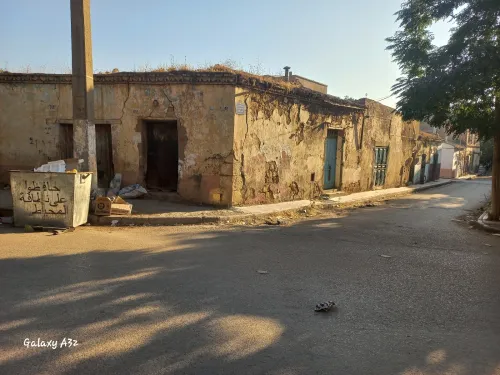 Vente Terrain Tissemsilt Theniet el had