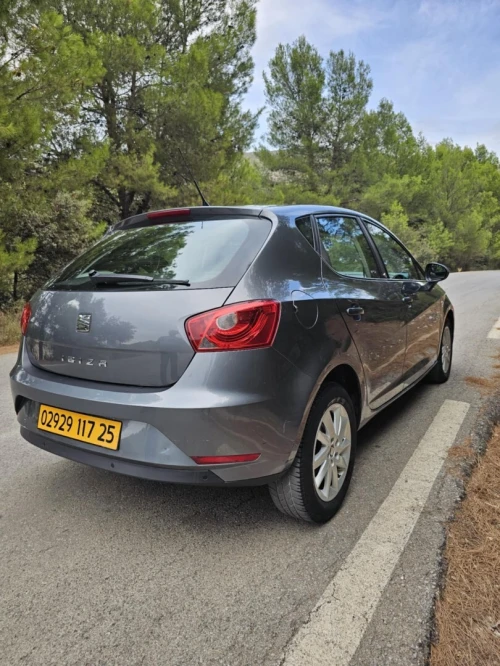 Seat Ibiza 2017 Sol