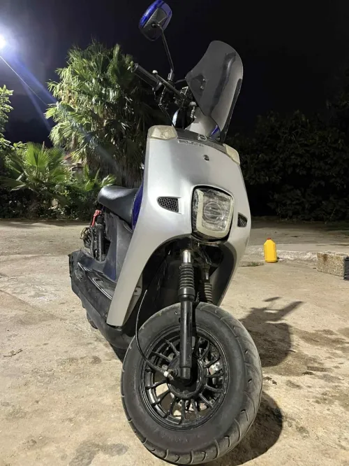 O Cuxi 2019
