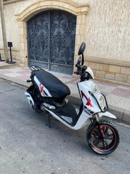 Okinoi Okinoi 2020