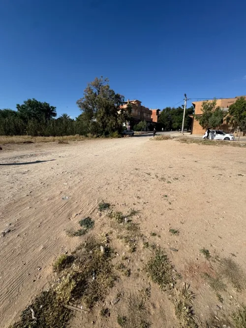 Vente Terrain Tiaret Ain deheb