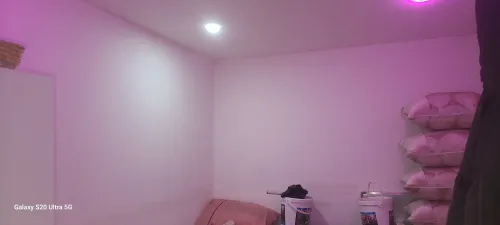 Vente Appartement Khenchela Khenchela