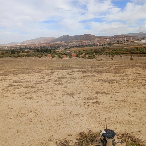 Vente Terrain Tlemcen Chetouane