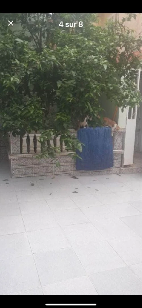 Vente Villa Alger Bologhine