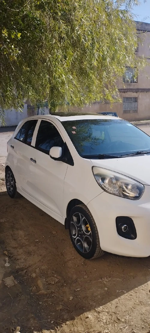 Kia Picanto 2015 Brazilia robot