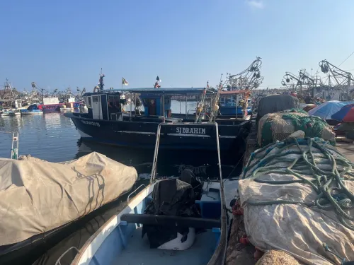 Bateau Spadonier 12m