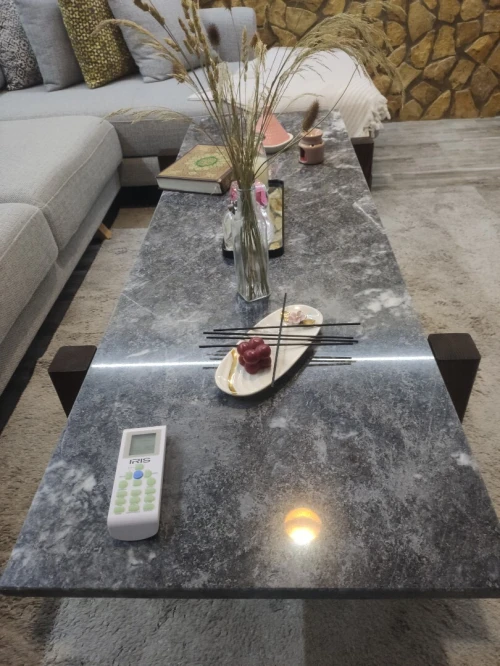 Table basse pour salon 