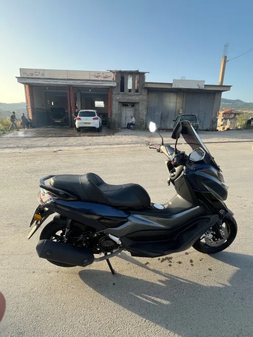 Okinoi Max ts 200 2024