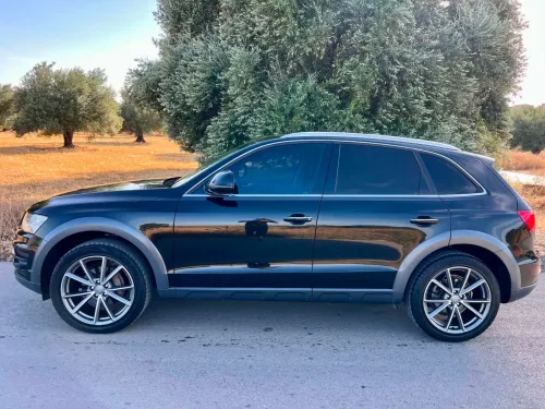 Audi Q5 2016 Off Road