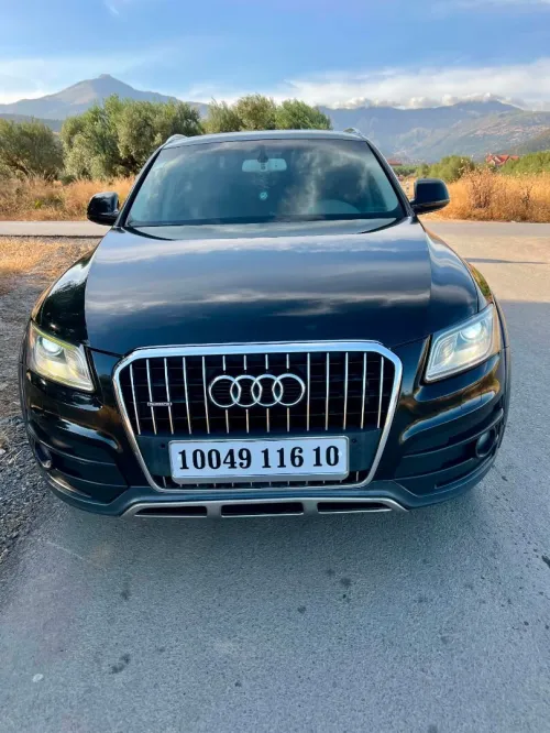 Audi Q5 2016 Off Road