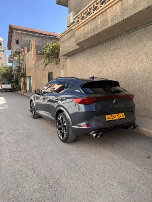 Cupra  Ateca 2024 VZ Tribe Edition