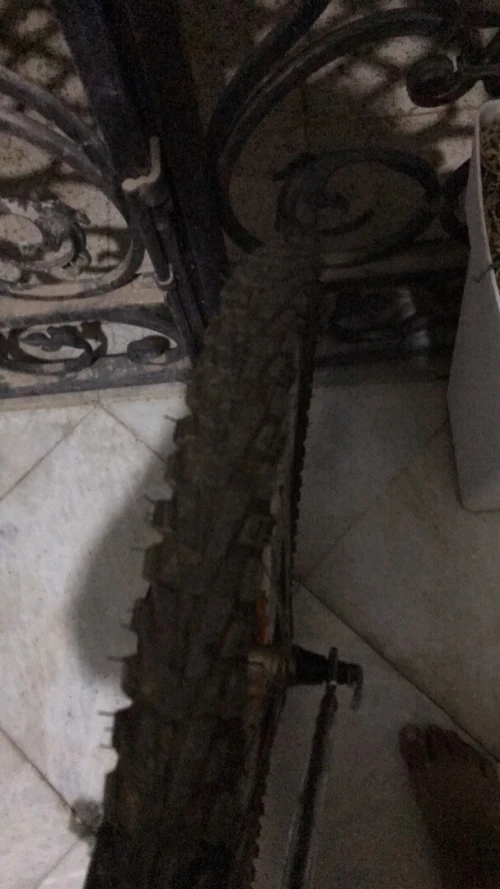 Vélo très bonne occasion 