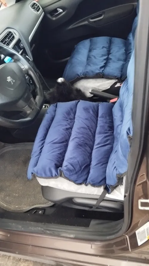 Peugeot 301 2013 
