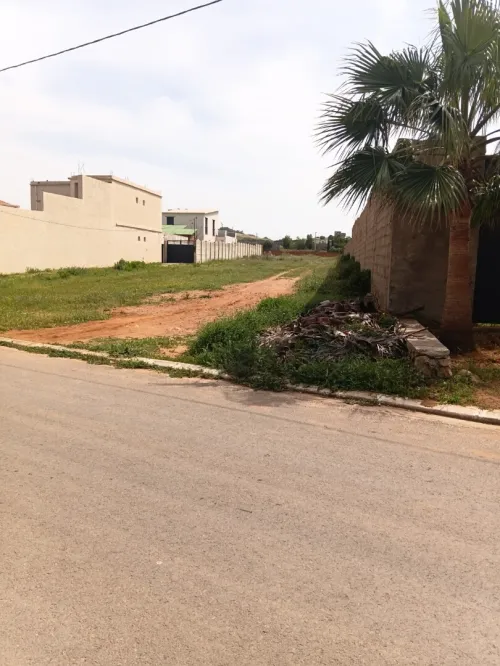 Vente Terrain Mostaganem Hadjadj