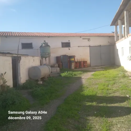 Vente Terrain Blida Ben khellil