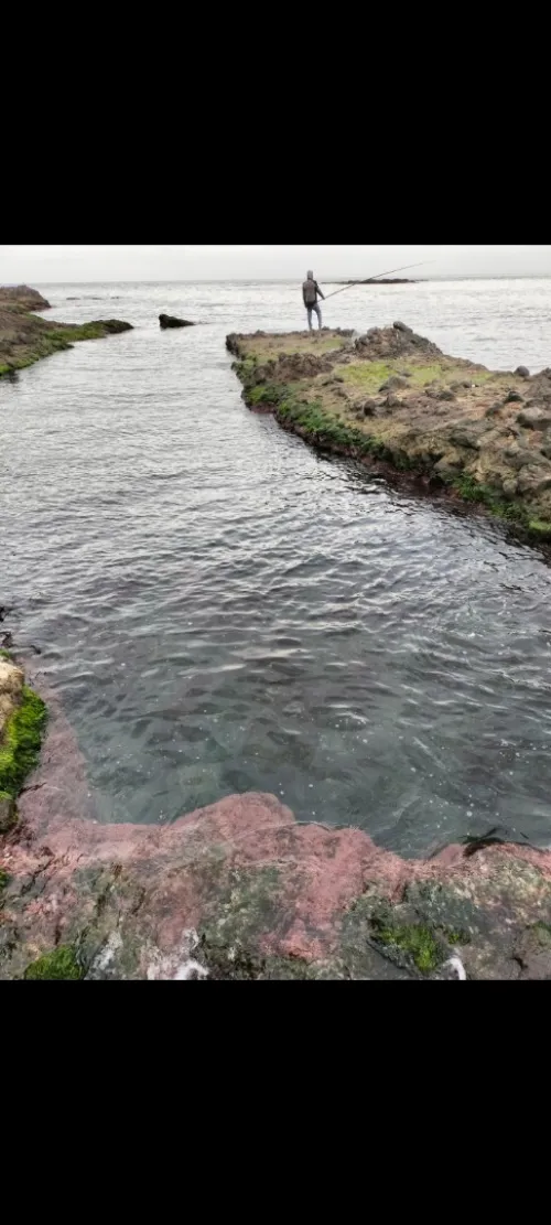 Location Villa Chlef Beni haoua