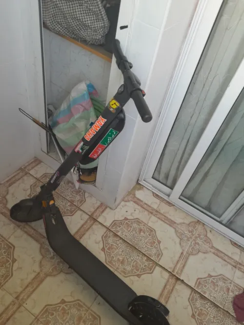 Ninbot e45e affair b 39
