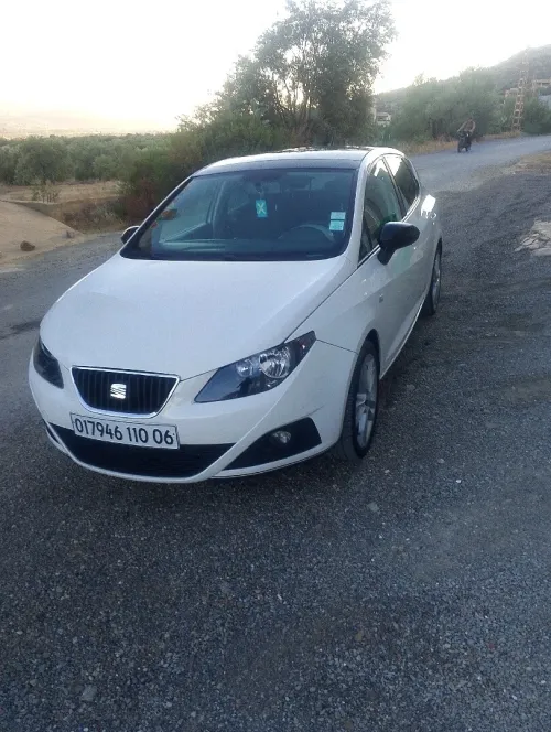 Seat Ibiza 2010 Loca