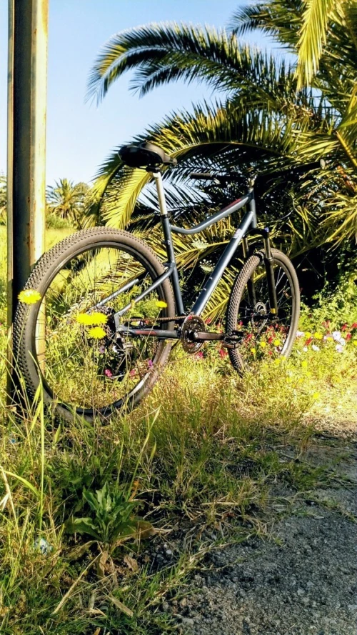 VTT 29" Pouces Cadre Taille L Roues 29x2.25